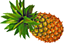 pineapple